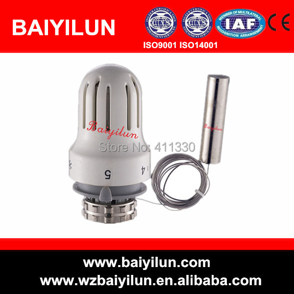 2m thermostatic head with remote liquid sensor — Demo2