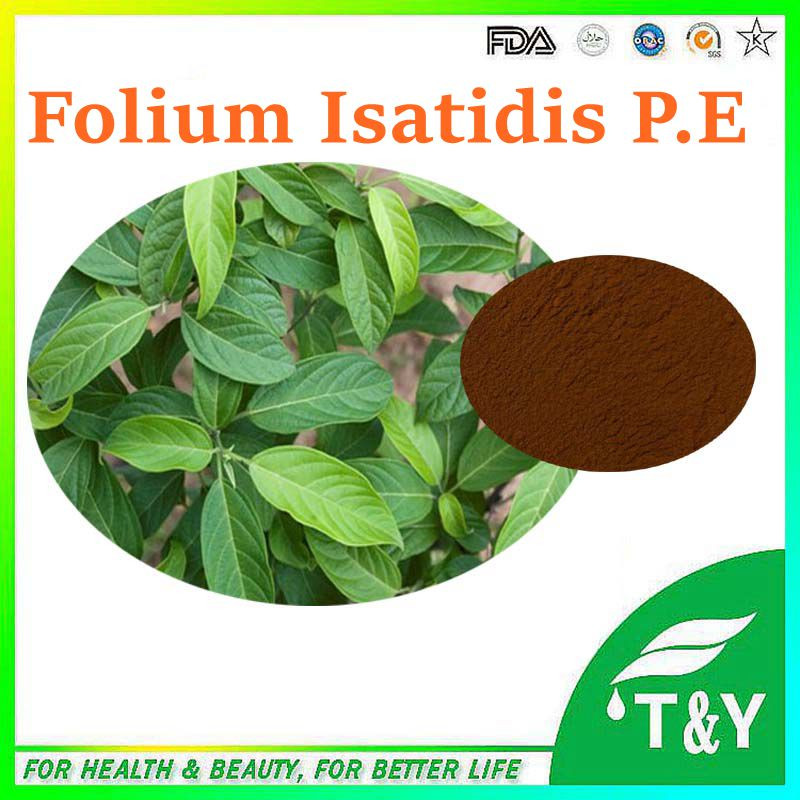 Hot sale Plant extract Folium isatidis extract/Radix isatidis extract/Isatis indigotica
