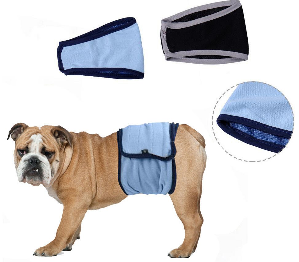 puppy incontinence get cheap pet incontinence aliexpress puppy incontinence get cheap pet incontinence aliexpress