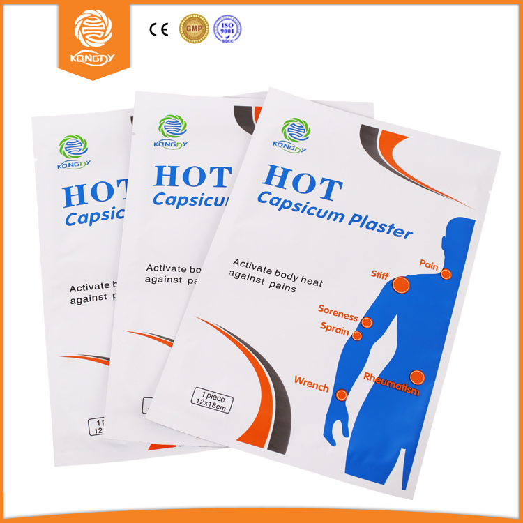 Beauty and Health Porous Capsicum Plaster for Lumbar Spine Pain 12 18 cm Medical Back Pain