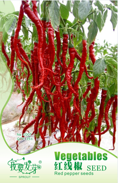 New Red Long Dried Hot Pepper Seeds, Original Pack, 35 Seeds / Pack, Heirloom Chili Seeds #IC007