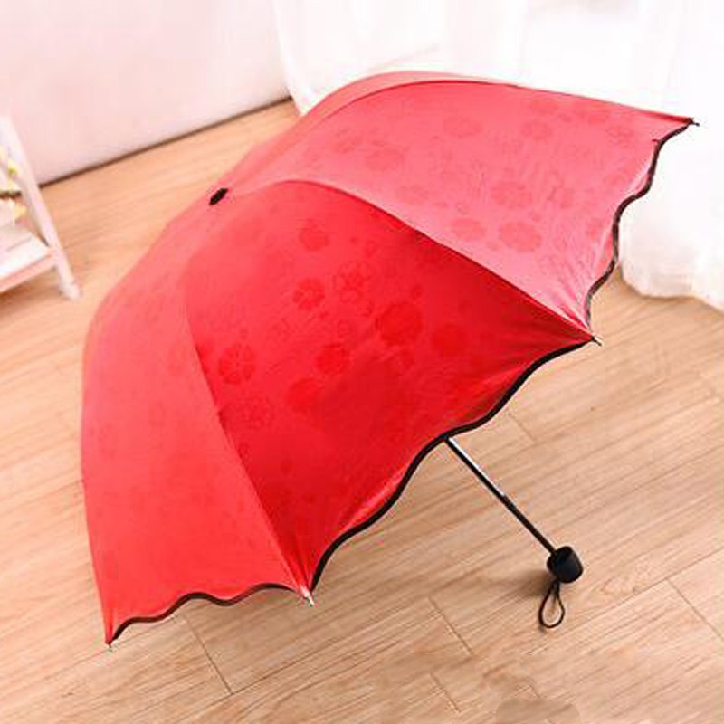 Umbrella-001-06