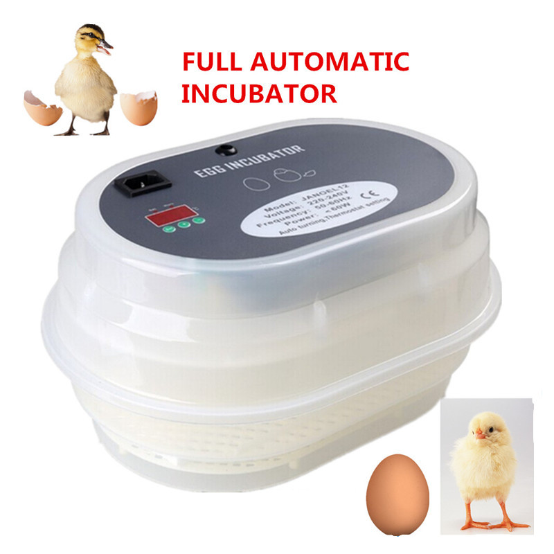 mini automatic egg incubator