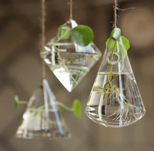 Geometric Vase Mini Hanging Glass Terrarium