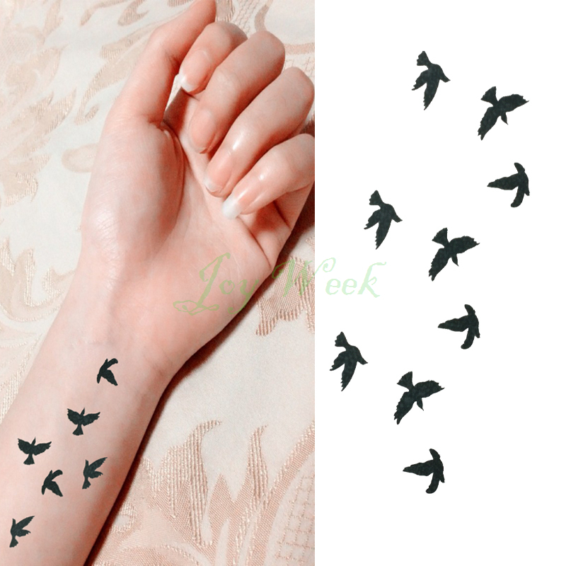 online kopen wholesale verse water vogels uit china verse online kopen wholesale verse water vogels uit china verse