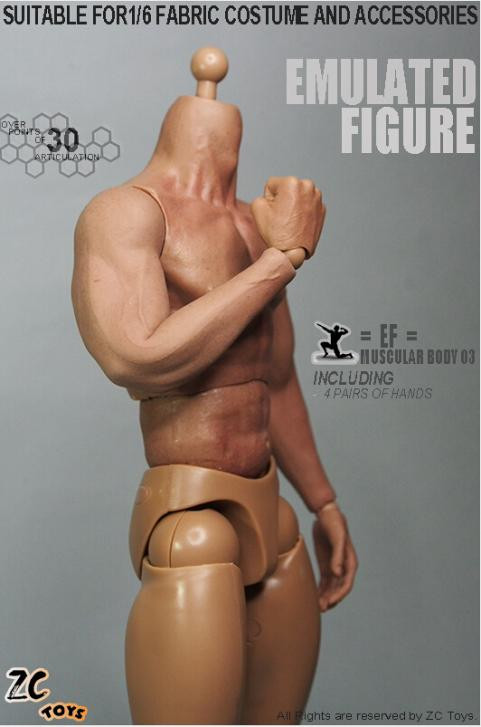 1/6 Scale ZC Toys Muscular Nude Action Figure Body Hot Toys F 12" Figure Head 