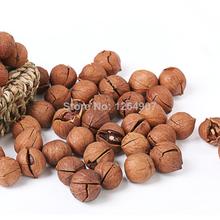 Wholesale 500g Chinese new Nut small walnut hickory nut hand stripping pecan butter Free shipping