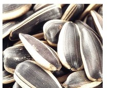 160g nuts Chinese food of Chinese herbal medicine grass Sunflower seed Selection of sunflower seeds