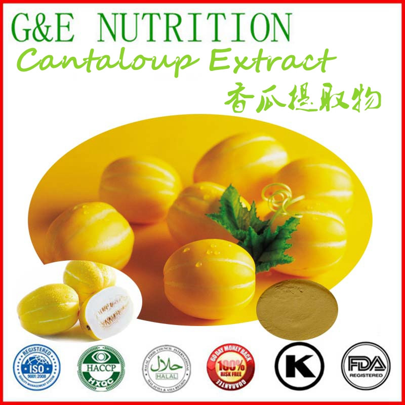 Hot sale Plant extract Cantaloupe Extract 700g