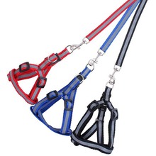 Free shipping pet products dog 5pcs/lot Nylon reflective light pet leash 120*2.5cm thoracic dorsal type dog leash leads Safety