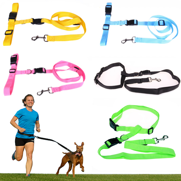 Waist dog leash review