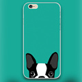 Boston Terrier dog in green Design case cover cell mobile phone cases for Apple iphone 4