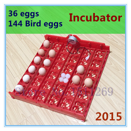 36 eggs Automatic Incubator 144 eggs Composite incubator tray Bird 