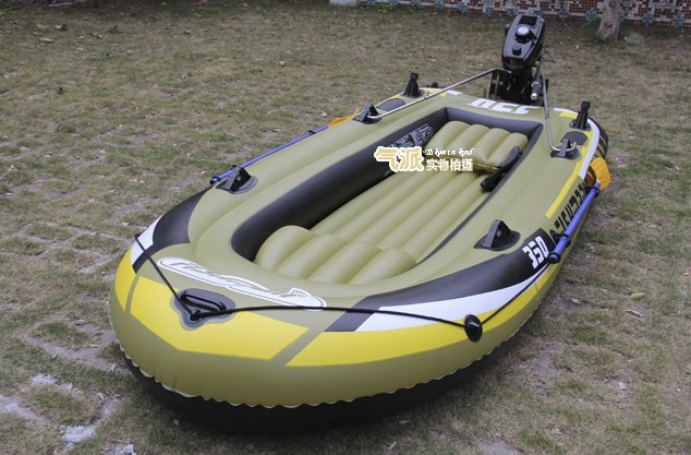 Fishman-110