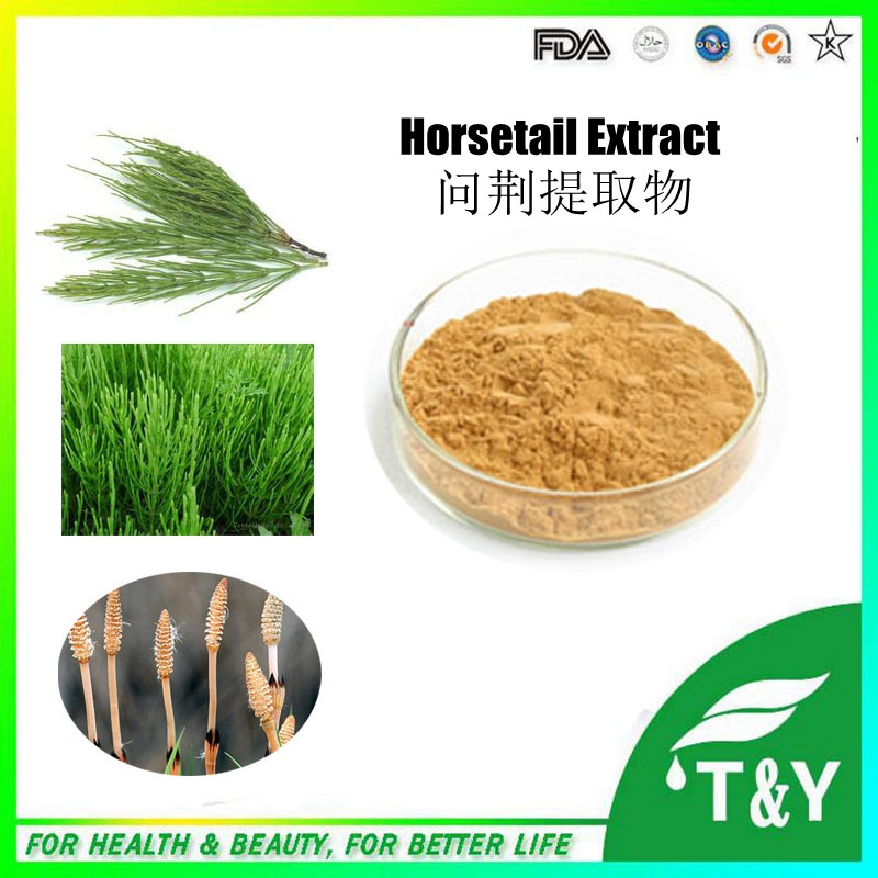 organic Horsetail extract plant extract 100% Pure 700g