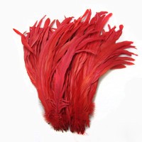 red rooster feathers