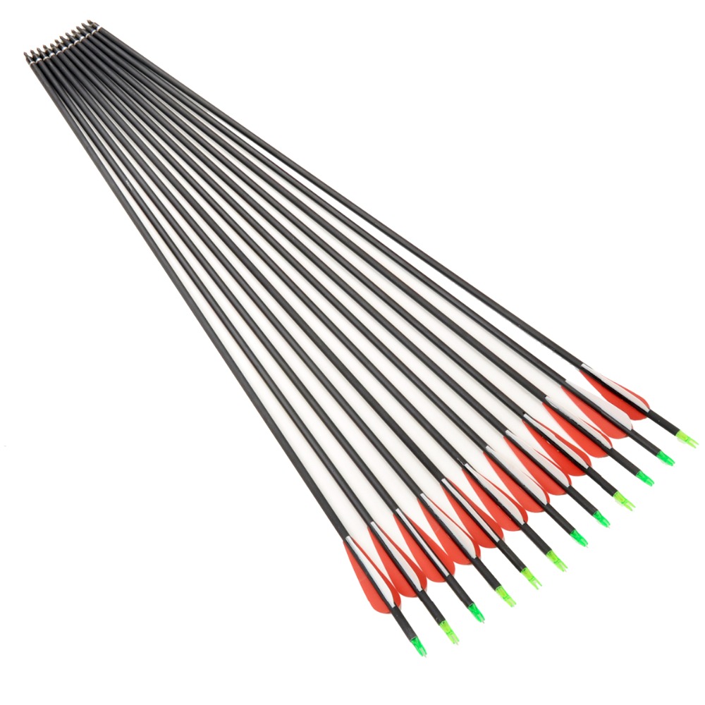 12 Pcs 30 Archery Carbon Arrows with Replaceable Arrowheads and Plastic Feathers Spine 500 Fit for