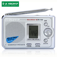 Goldyip bullion dr-1136 full digital stereo radio
