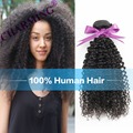 Charming 8A Unprocessed 5 Pieces Indian Curl Virgin Hair No Shedding Double Weft No Tangle Hair