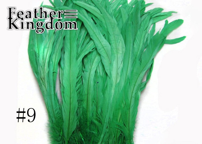 GREEN COCK TAIL FEATHER