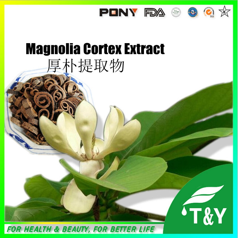 Herb Medicine Magnolia Bark Extract/Magnolia Cortex Extract/Magnolol, Honokiol 600g/lot