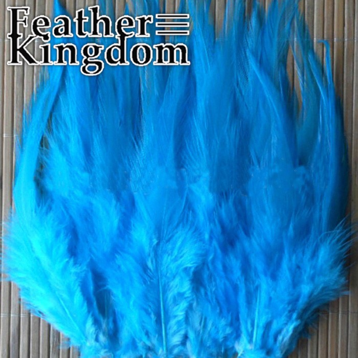 turquoise rooster feather -700