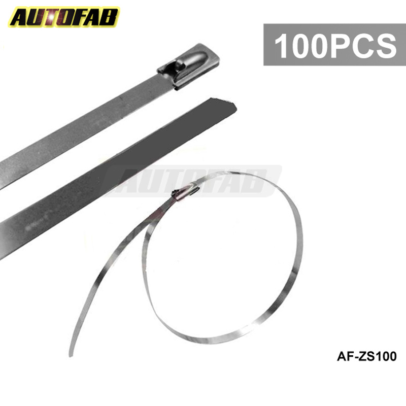 Autofab -100x           4.6  x 300  AF-ZS100
