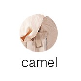 camel