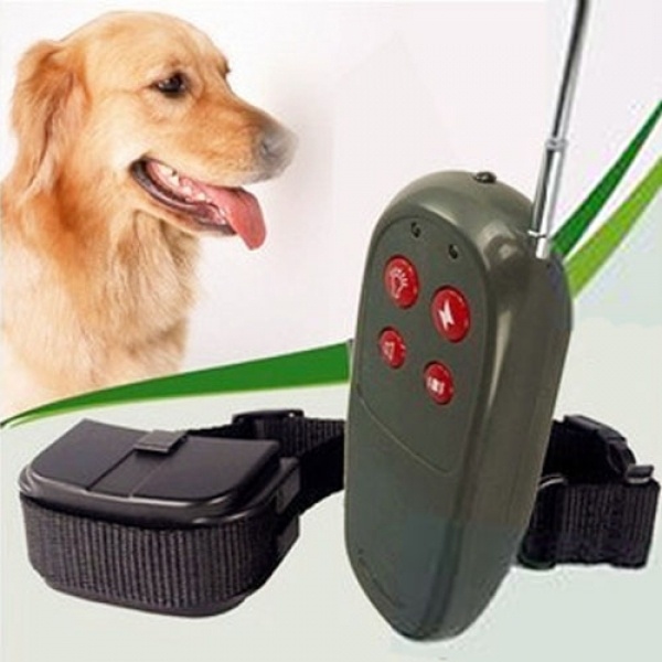 Small Dog Training Collar With Remote Small Dog Training Collar With Remote