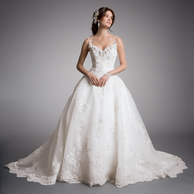 2010 david's bridal gowns