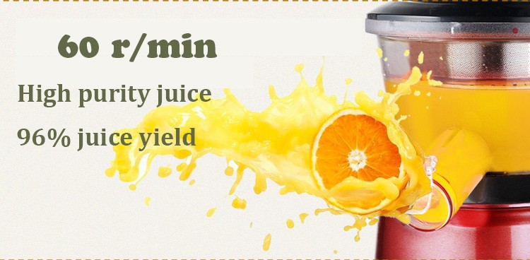 Healthy Living Slow Juicer Stainless Steel Natural Juice Extrator /Maker Lazada Malaysia