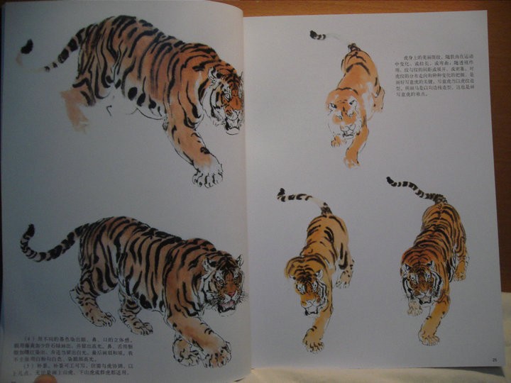 The Snake, The Tiger, And The Crane hetoi