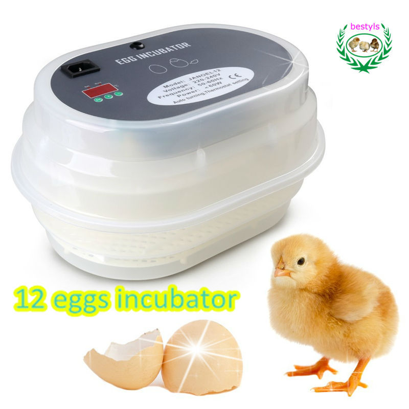 Hot sale !!! 9~12 eggs mini chicken egg incubator poultry incubator 