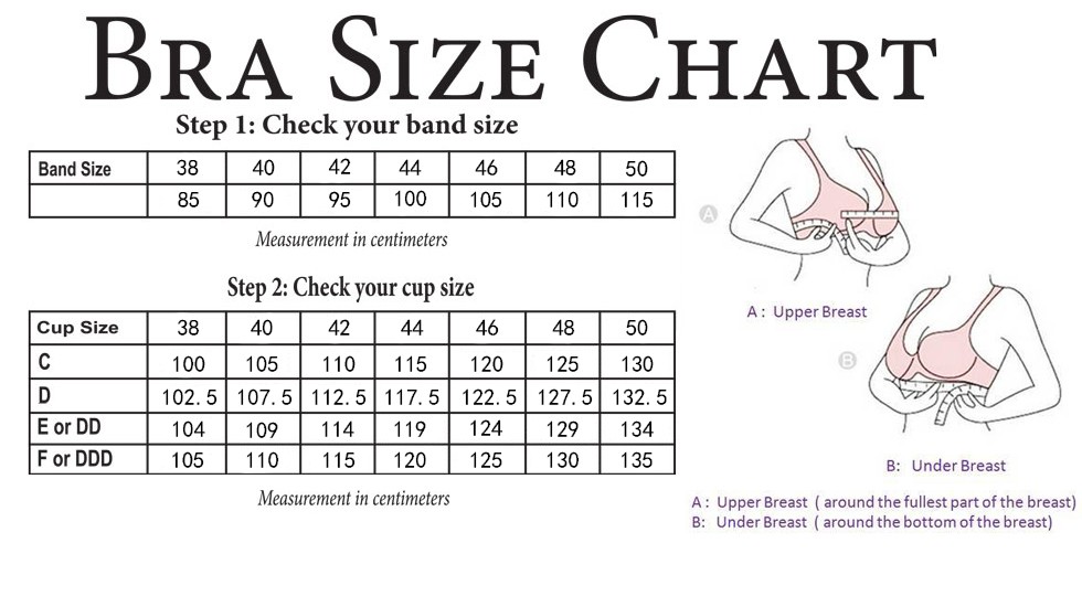 Large Bra Cup Size Chart