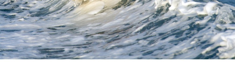 Fig. Image for content
