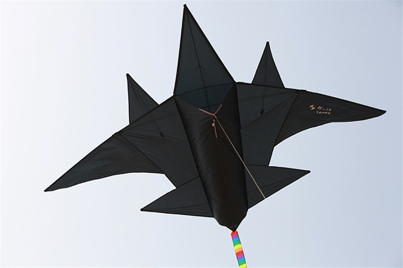 2020 Wholesale Outdoor Fun Sports Black Fighter Kite Plane Kite Good