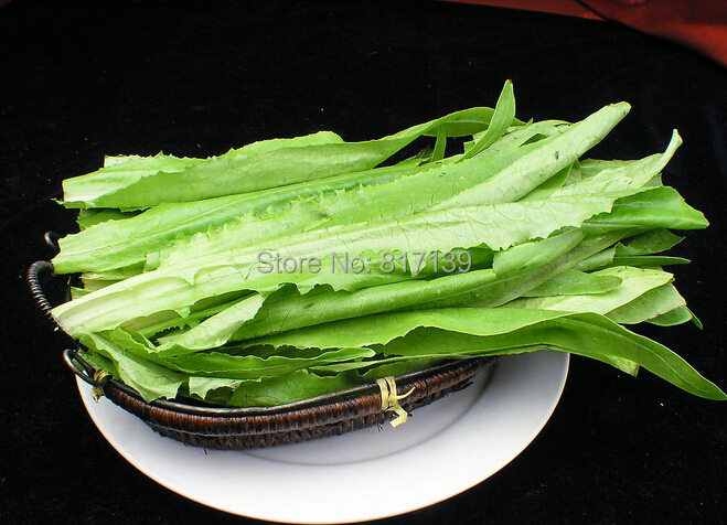 Asian Vegetable Seeds For Sale 13