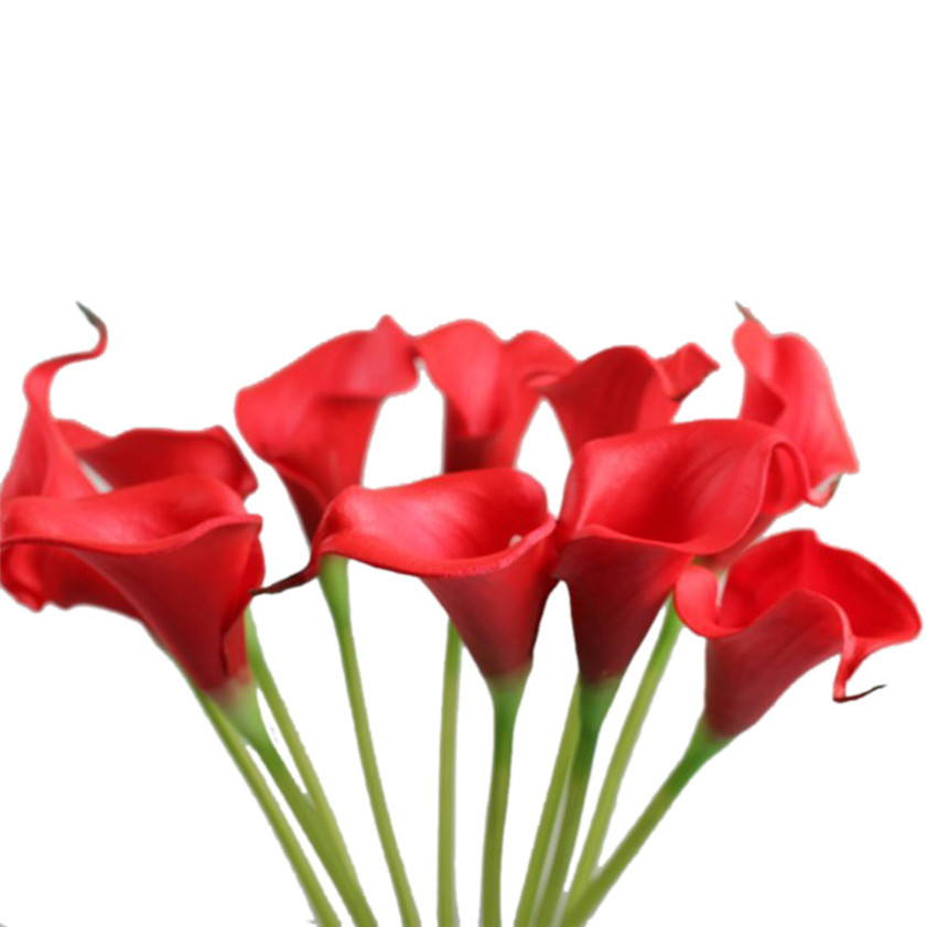 Calla lily coupons