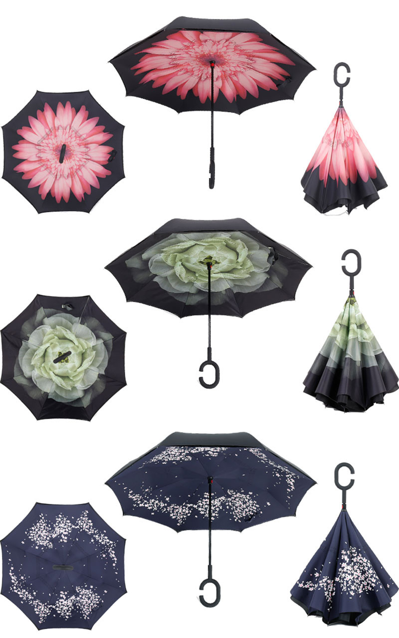 umbrella (11)
