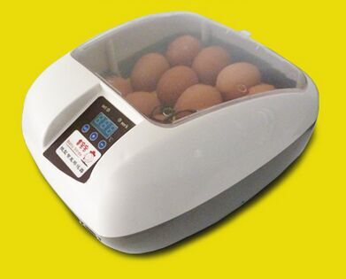  -Poultry-Hatch-12-Eggs-Egg-Incubator-For-Hatching-Chicken-Duck.jpg