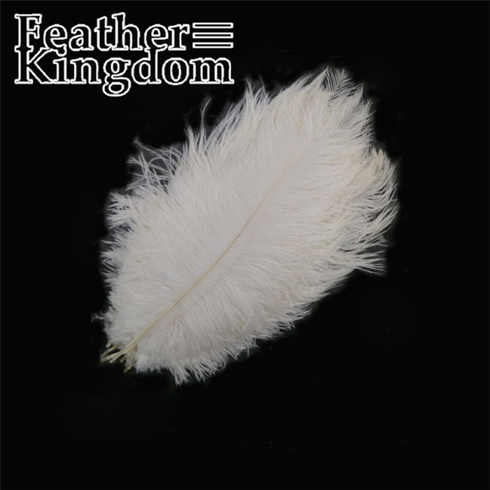 WHITE OSTRICH FEATHER 2