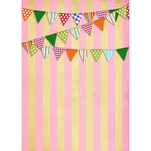 Free shipping 5x7ft vinyl backdrop flag backgrounds for photo studio children shooting Computer Painted Backdrops P0616