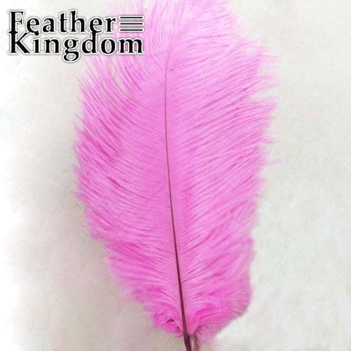 pink ostrich feather