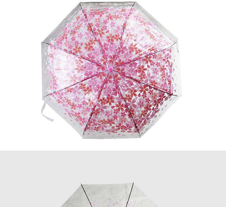 UMbrella paraguas Umbrella06.jpg
