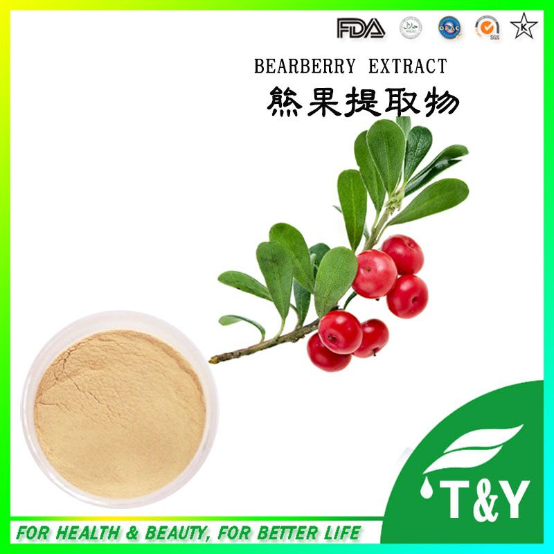 China Manufacturer Supply Beauty Product Bearberry Extract with Alpha Arbutin Powder 500g/lot