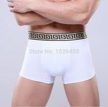 Super Sexy Male Cotton High Quality Men & Boy Briefs Underwear Thong