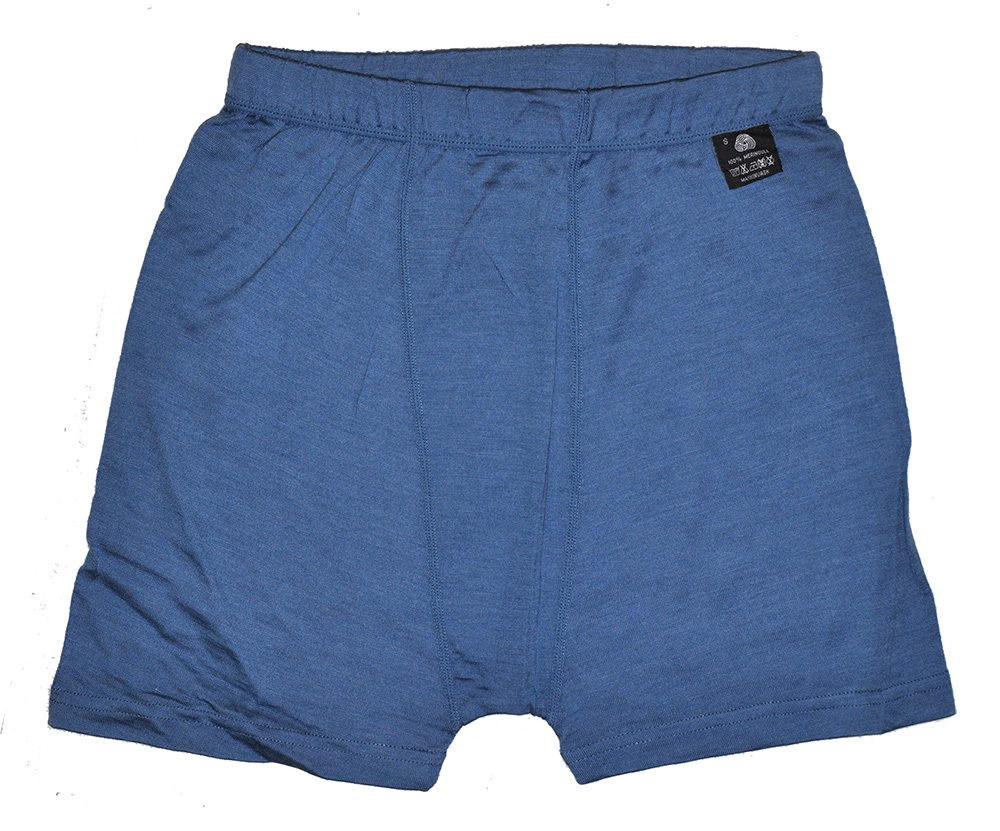 Men s 100 Micro Merino Wool Lightweight Underwear Athletics Male Blue Boxers Drying Outdoor Sports Woolmark