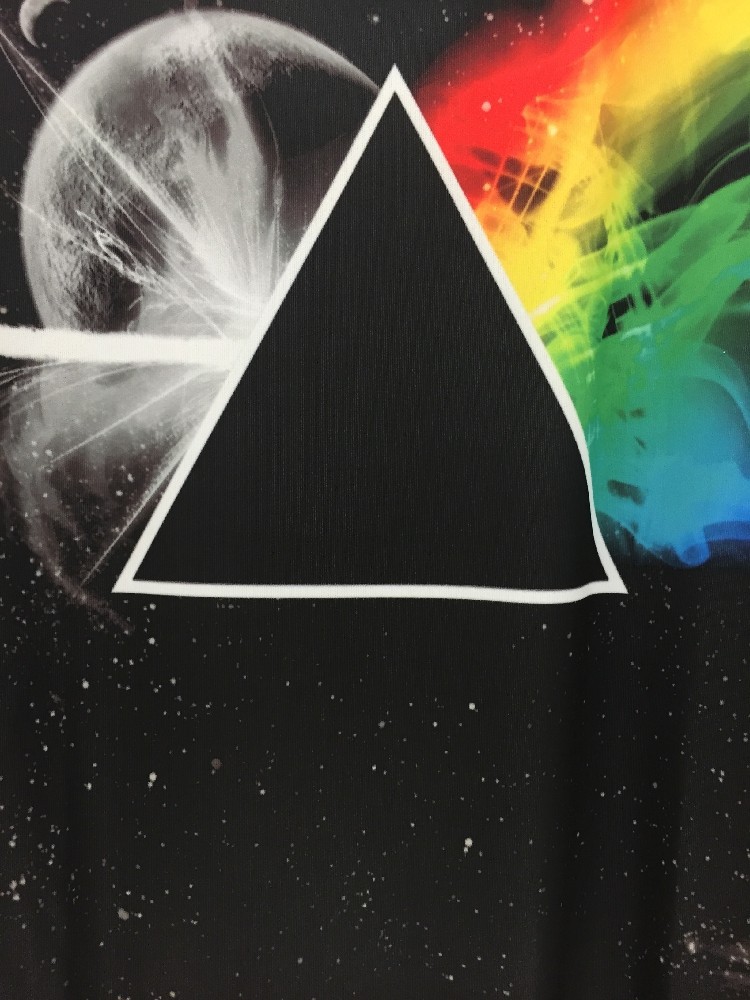 pink floyd (5)