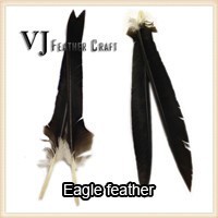 feather 00101