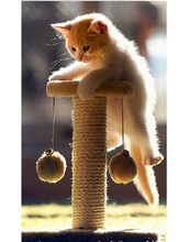 Scratch Pole and Play Center for Cats and Kittens